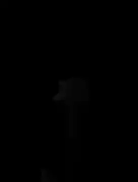 Hildaqii online show from June 16, 2026, 8:00 pm