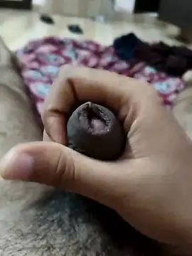 bableshwar online show from April 9, 2026, 3:17 am