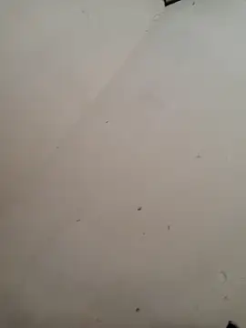 Luizfabiano887 online show from April 29, 2026, 5:41 pm