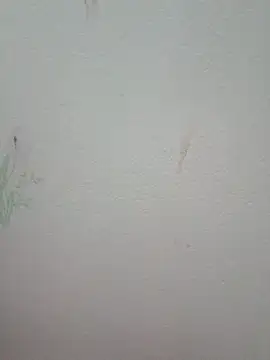 Luckyy29 online show from June 13, 2026, 5:05 am