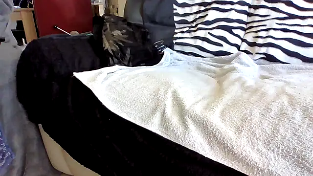 Snapshot of Beseb2 chatting on April 17, 2026, 1:03 pm Beseb2 online show from April 17, 2026, 1:03 pm
