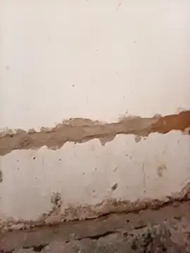 Nkazimulz online show from April 9, 2026, 1:27 pm