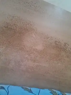 Sana-68 online show from April 14, 2026, 9:37 am