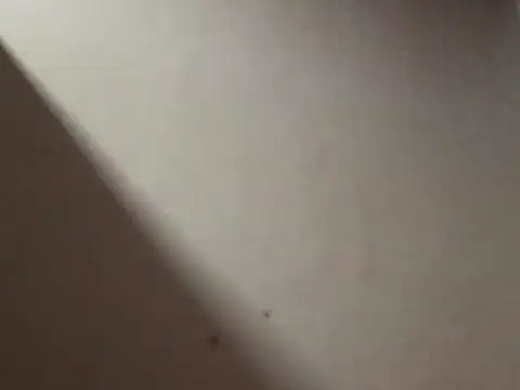 SL Uma online show from April 19, 2026, 7:05 pm