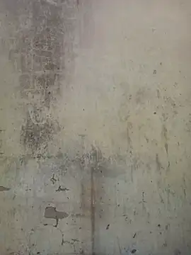 millerjail online show from July 13, 2026, 10:51 am