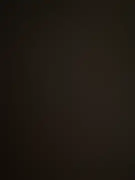 Barloo online show from December 2, 2025, 8:48 pm