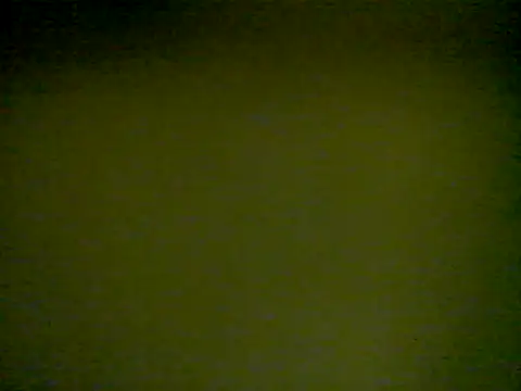 Snapshot of LunjeSA chatting on June 4, 2026, 8:31 am LunjeSA online show from June 4, 2026, 8:31 am