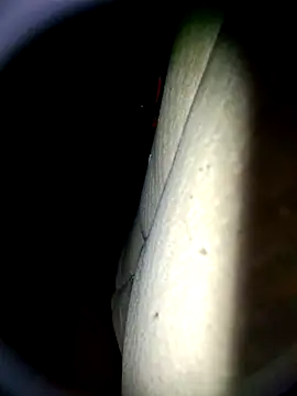 Harkorti online show from April 22, 2026, 4:48 am