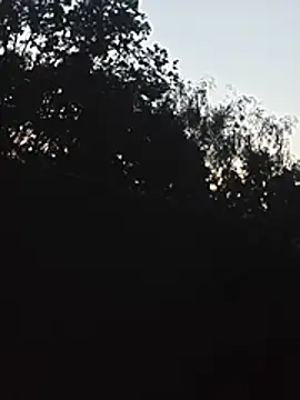 Snapshot of DanieleAleksandraDeRossii chatting on June 22, 2026, 7:44 pm DanieleAleksandraDeRossii online show from June 22, 2026, 7:44 pm