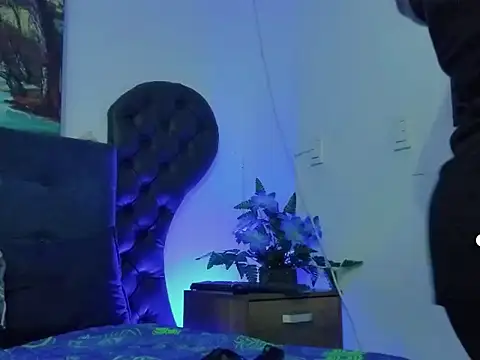 dreamycushions online show from May 22, 2026, 6:46 pm