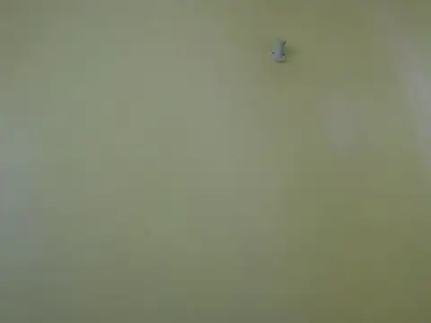 Cuteebony16 online show from June 20, 2026, 1:03 pm