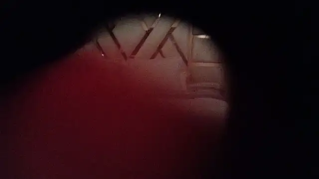 Snapshot of kellygrace_vg chatting on June 28, 2026, 3:01 am kellygrace vg online show from June 28, 2026, 3:01 am