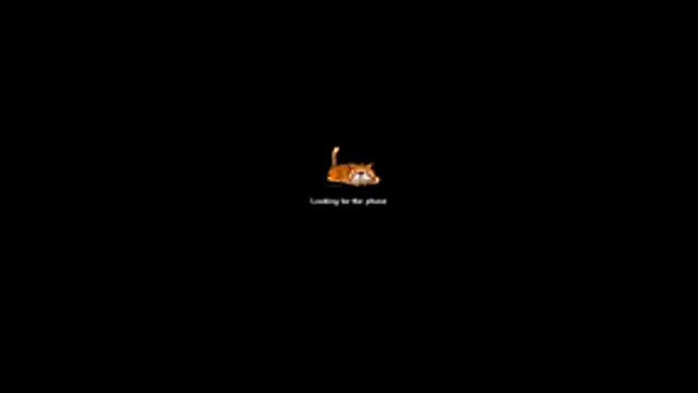 Snapshot of bella-diaz chatting on July 13, 2026, 8:33 pm bella-diaz online show from July 13, 2026, 8:33 pm