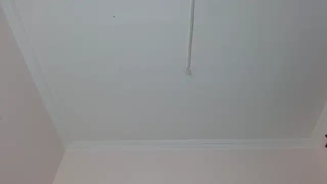 amara sanchez online show from July 8, 2026, 1:04 pm