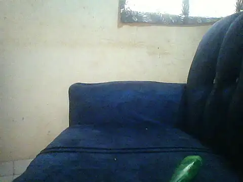 HomeBully online show from July 8, 2026, 12:09 pm