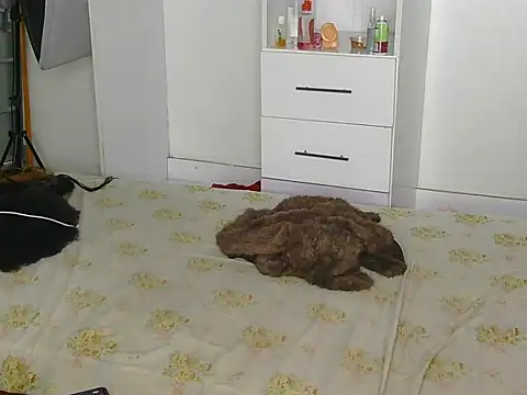 Snapshot of SexyLi_ chatting on July 30, 2026, 2:21 am SexyLi online show from July 30, 2026, 2:21 am