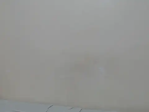 lewinne online show from July 7, 2026, 9:08 pm