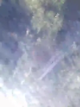 Philebranleur online show from July 6, 2026, 9:17 am