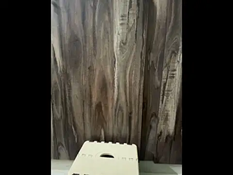 SatBull007 online show from November 23, 2025, 7:52 am