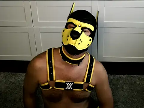 WildyLynx online show from July 9, 2026, 5:17 pm