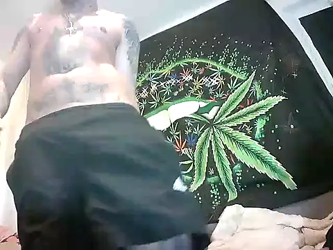 MagicStickBoy online show from February 4, 2025, 9:49 am