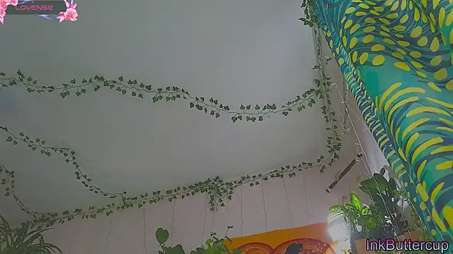 Dead Butterfly online show from September 24, 2025, 3:32 am