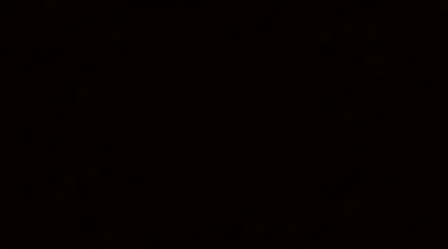 Snapshot of Blackswinger chatting on March 4, 2025, 9:51 am Blackswinger online show from March 4, 2025, 9:51 am