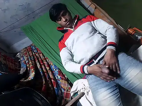 desiboy1101 online show from February 22, 2025, 2:52 pm