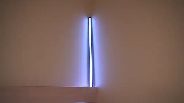 Snapshot of Liuba_Fox chatting on February 23, 2026, 7:33 pm Liuba Fox online show from February 23, 2026, 7:33 pm