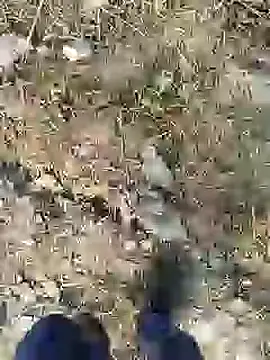 Snapshot of ThethunderPo chatting on December 28, 2024, 2:43 am ThethunderPo online show from December 28, 2024, 2:43 am