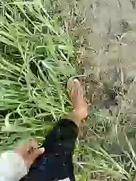 Snapshot of ThethunderPo chatting on February 19, 2025, 1:51 am ThethunderPo online show from February 19, 2025, 1:51 am