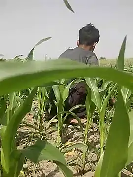 Snapshot of ThethunderPo chatting on March 5, 2025, 8:10 am ThethunderPo online show from March 5, 2025, 8:10 am