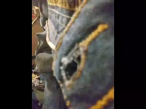 Snapshot of ROBERT0516 chatting on October 19, 2025, 5:02 pm ROBERT0516 online show from October 19, 2025, 5:02 pm