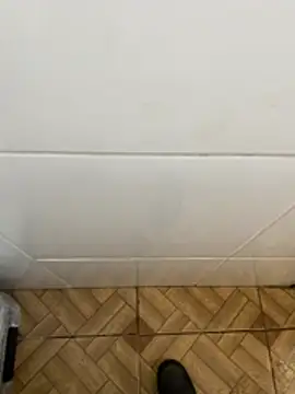 descret 19 online show from February 11, 2026, 2:55 pm