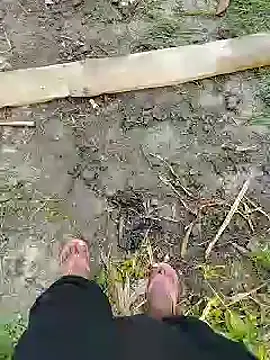 bigh96dik online show from January 14, 2025, 8:41 am