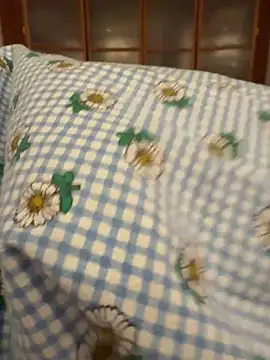 Snapshot of geilerboy2628 chatting on February 10, 2026, 11:20 pm geilerboy2628 online show from February 10, 2026, 11:20 pm