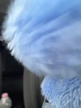 Snapshot of AnastasiaAniess chatting on February 1, 2025, 9:21 am AnastasiaAniess online show from February 1, 2025, 9:21 am