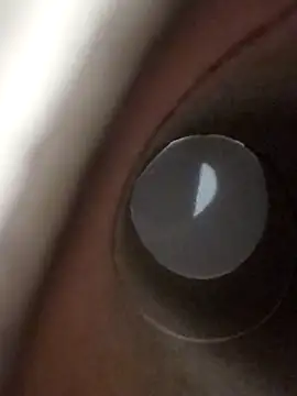 domjoab online show from January 17, 2026, 11:41 pm