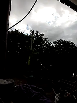 sarpe4 online show from October 12, 2025, 7:18 am