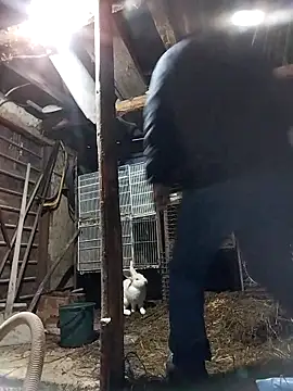 Snapshot of sarpe4 chatting on February 19, 2026, 4:14 pm sarpe4 online show from February 19, 2026, 4:14 pm