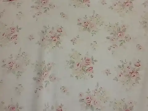 Snapshot of sarathchandru chatting on February 2, 2026, 11:03 pm sarathchandru online show from February 2, 2026, 11:03 pm