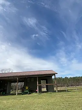 Sitonmyface2020xh online show from March 3, 2025, 10:10 pm