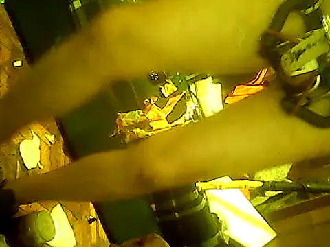 god23free online show from February 23, 2025, 3:02 am