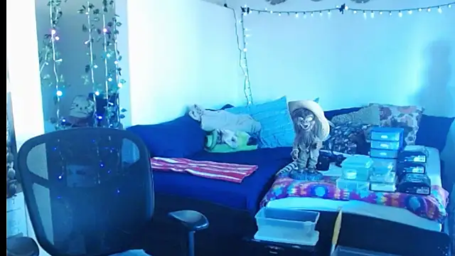 mycock2474u online show from February 25, 2025, 3:38 pm