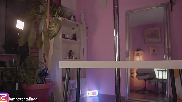 YourBabyPearl online show from February 23, 2025, 7:49 pm