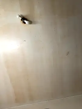 Tristris100 online show from November 19, 2025, 3:56 pm