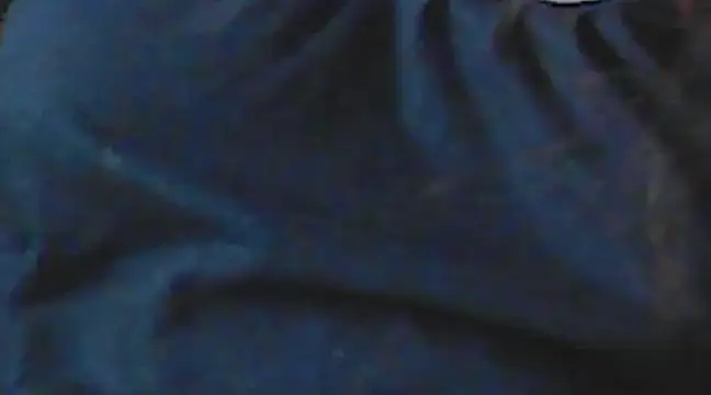 Snapshot of giga-bite chatting on December 15, 2024, 6:40 am giga-bite online show from December 15, 2024, 6:40 am