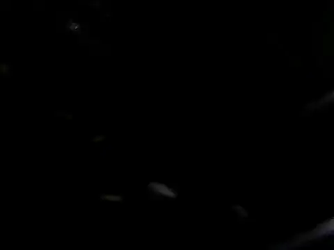 Snapshot of giga-bite chatting on October 10, 2025, 3:44 pm giga-bite online show from October 10, 2025, 3:44 pm