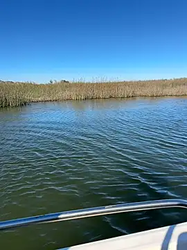 Goonwithoutclinching online show from January 10, 2026, 9:16 pm