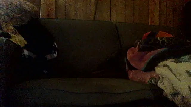 Ryoko Momoko online show from November 1, 2025, 2:46 am